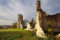 Follies and Fin Whales